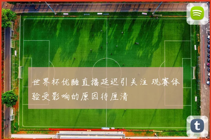 世界杯优酷直播延迟引关注 观赛体验受影响的原因待厘清