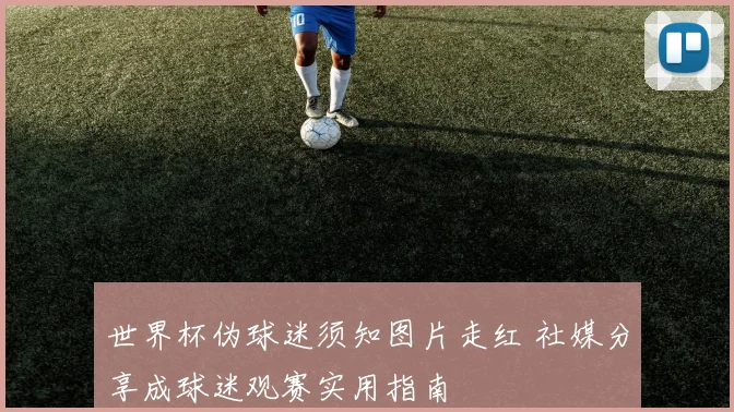 世界杯伪球迷须知图片走红 社媒分享成球迷观赛实用指南