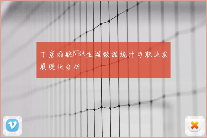 丁彦雨航NBA生涯数据统计与职业发展现状分析