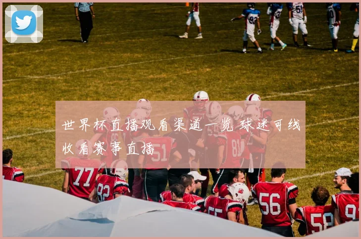 世界杯直播观看渠道一览 球迷可线收看赛事直播