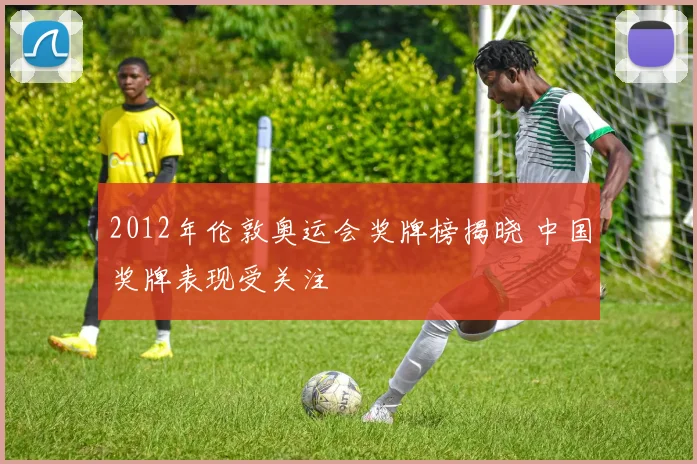2012年伦敦奥运会奖牌榜揭晓 中国奖牌表现受关注