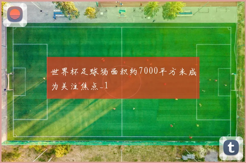世界杯足球场面积约7000平方米成为关注焦点_1