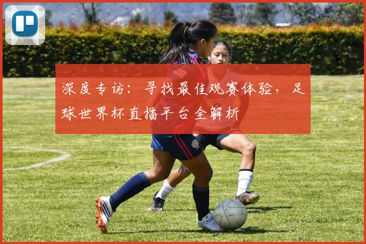深度专访:寻找最佳观赛体验,足球世界杯直播平台全解析