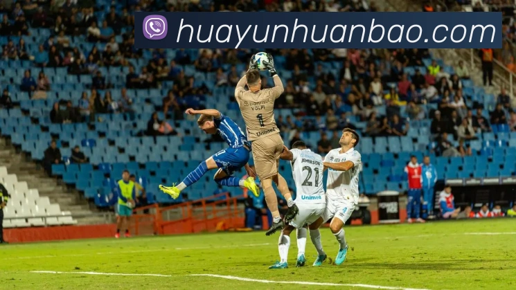mksports官方登录入口品牌故事